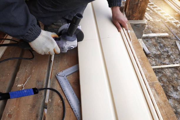 Best Brick Veneer Siding  in Madisonville, KY